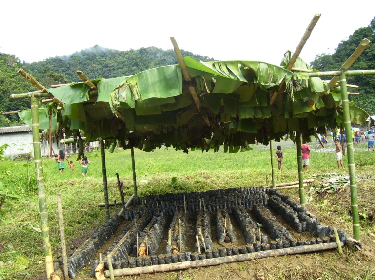 Agricoltura 3