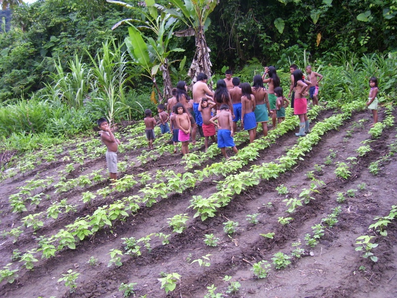 Agricoltura 4